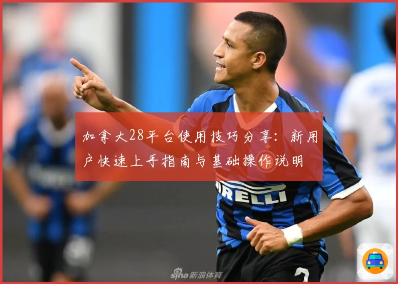 加拿大28平台使用技巧分享:新用户快速上手指南与基础操作说明