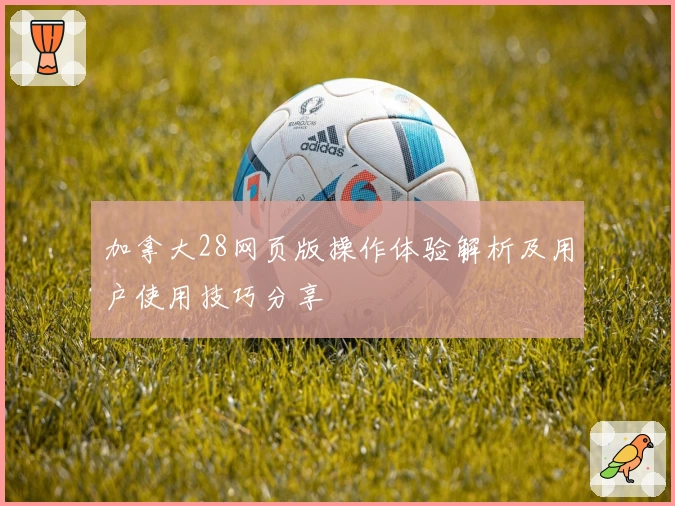 加拿大28网页版操作体验解析及用户使用技巧分享