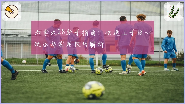 加拿大28新手指南：快速上手核心玩法与实用技巧解析