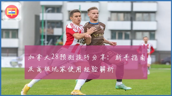 加拿大28预测技巧分享：新手指南及高级玩家使用经验解析