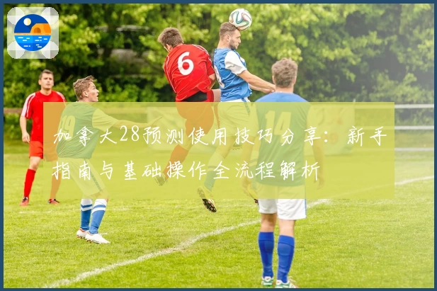 加拿大28预测使用技巧分享：新手指南与基础操作全流程解析