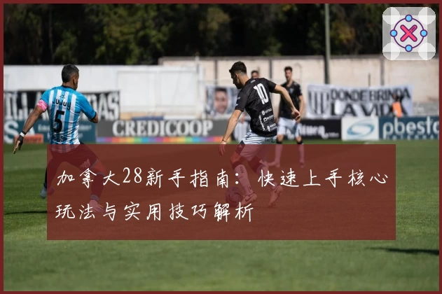 加拿大28新手指南：快速上手核心玩法与实用技巧解析