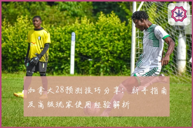 加拿大28预测技巧分享：新手指南及高级玩家使用经验解析